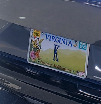 plate_k.jpg